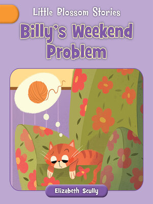 cover image of Billy's Weekend Problem